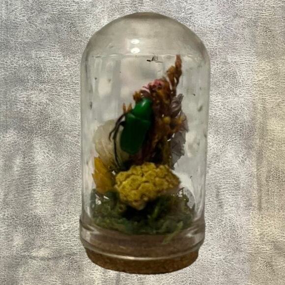 Handmade beetle dome taxidermy jar - Picture 1 of 6